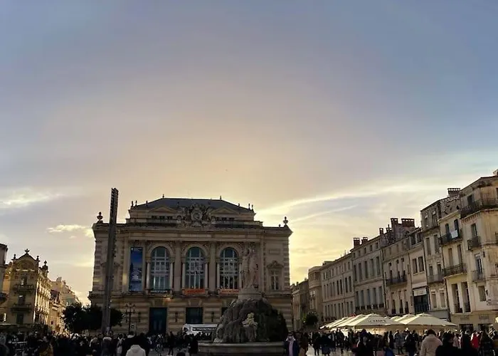 Grand Studio Cosy Au Coeur De Montpellier