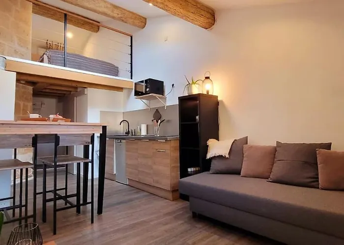 Grand Studio Cosy Au Coeur De Montpellier