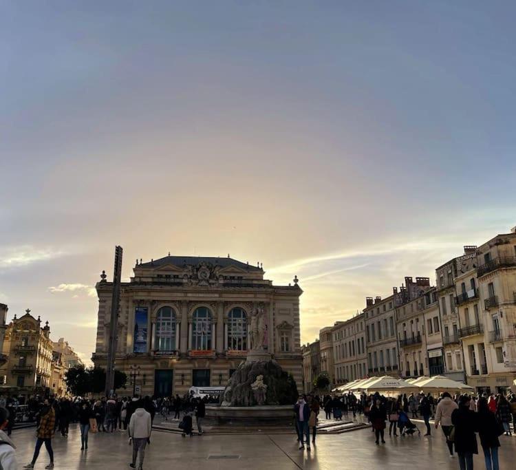 Grand Cosy Au Coeur De * Montpellier